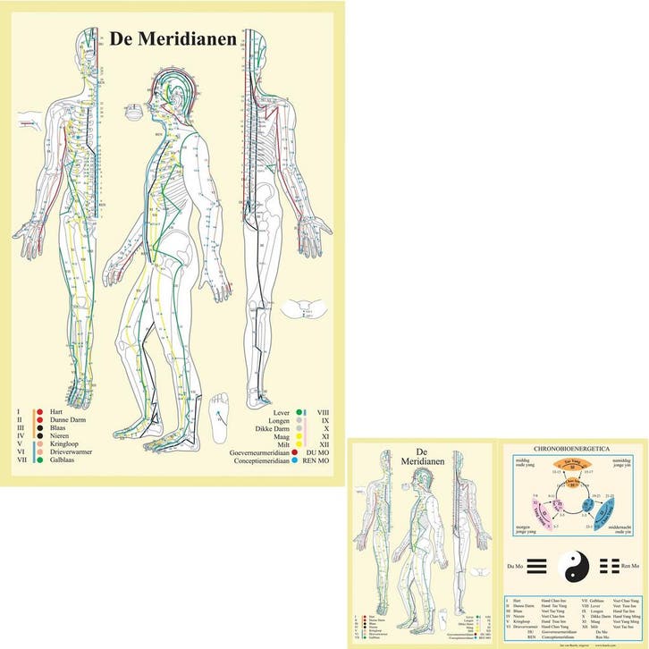 Anatomie poster meridianen (Nederlands, gelamineerd, A2...., Sport en Fitness, Massageproducten