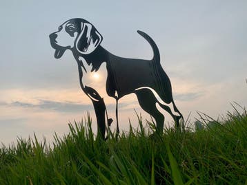 Beagle - Levensecht, Verzenden, Nieuw
