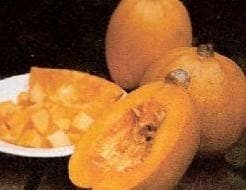 Melonette Jaspee de vendee pompoen basiseenheid zaden, Ophalen of Verzenden, Nieuw
