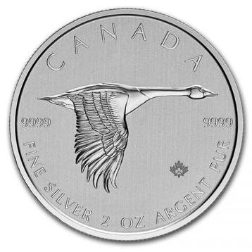 Canada Goose 2 oz 2020, Verzenden, Noord-Amerika, Losse munt, Zilver