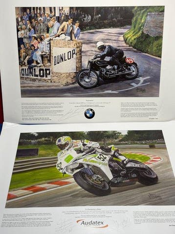 BMW - MotoGP - John Surtees, James Toseland - 2014 - Print, Nieuw
