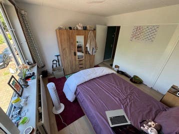 Te huur: Appartement Den Burgstraat in Amsterdam, Noord-Holland, Appartement, Amsterdam