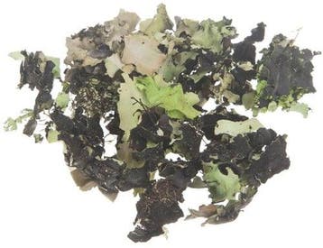 Korstmos Musgo Groenwashed 250 gram, Ophalen of Verzenden, Nieuw