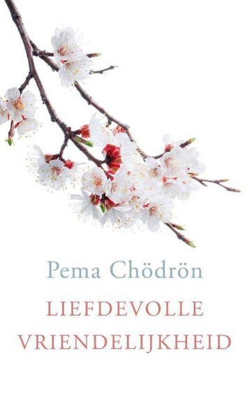 9789025904135 Liefdevolle vriendelijkheid | Tweedehands, Verzenden, Zo goed als nieuw, Pema Chodron
