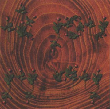 cd - Van Dik Hout - Ik Jou &amp; Jij Mij, Verzenden, Zo goed als nieuw