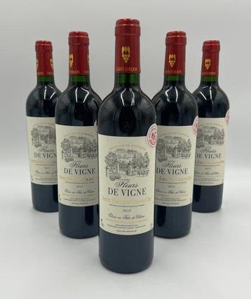 2015 Fleurs de Vigne - Saint-Émilion Grand Cru - 6 Flessen, Nieuw