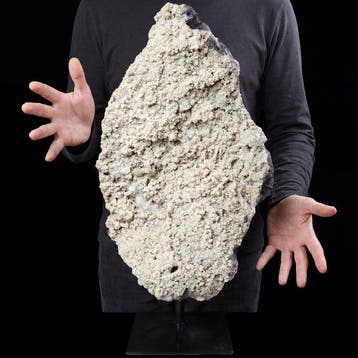 Rozenbloem Amethist - Interieurstuk - 52x29x16 cm- 6.6 kg