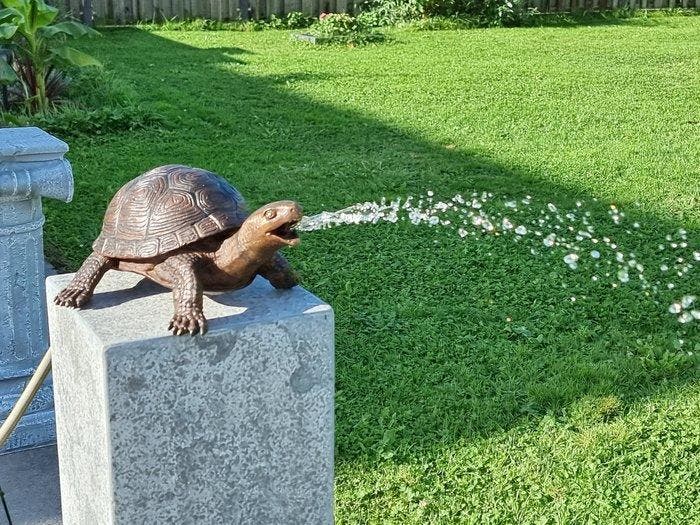 Fontein - Bronze Turtle - 2026, Antiek en Kunst, Curiosa en Brocante