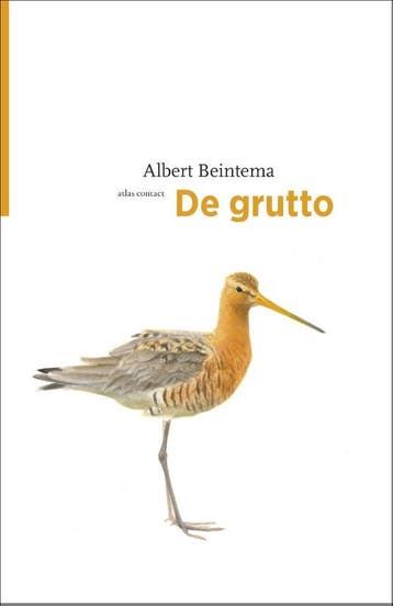 De grutto / De vogelserie / 5 - Albert Beintema, Boeken, Verzenden, Zo goed als nieuw, Albert Beintema