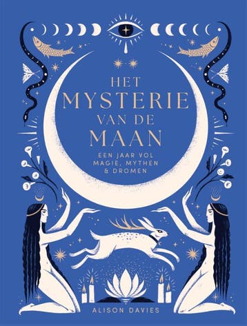 Het mysterie van de maan / Het mysterie van - Alison Davies, Verzenden, Zo goed als nieuw, Alison Davies