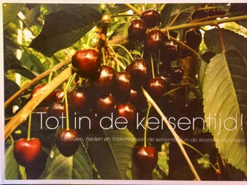 Tot in de kersentijd! - F. Smink 9789090208060, Verzenden, Zo goed als nieuw, F. Smink