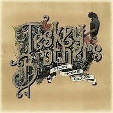 TESKEY BROTHERS - RUN HOME SLOW (LP), Verzenden, Nieuw in verpakking
