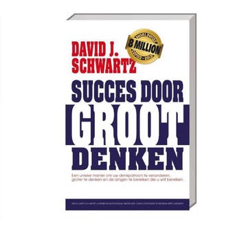 Succes door groot denken - David J. Schwartz 9789461886668, Boeken, Verzenden, Zo goed als nieuw, David J. Schwartz