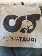AlphaTauri - Formule 1 - 2025 - Sportshirt, Nieuw