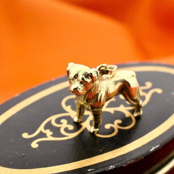 Gouden hanger van een rottweiler (Hanger of bedel), Sieraden, Tassen en Uiterlijk, Bedels, Ophalen of Verzenden, Gebruikt, Goud