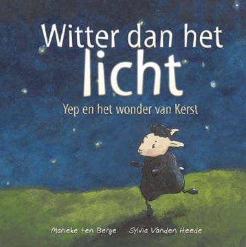 Witter dan het licht - S. vanden Heede 9789033883576, Verzenden, Gelezen, S. vanden Heede