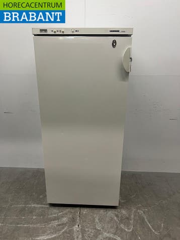 Liebherr Vriezer 520 liter 230V Horeca, Ophalen of Verzenden, Gebruikt