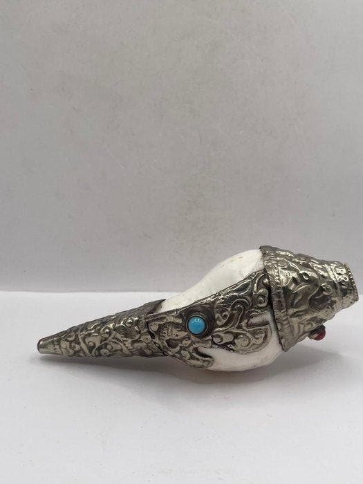 zeeschelp - Gefossiliseerde schelp - dungkhar - 14 cm - 5 cm, Antiek en Kunst, Antiek | Overige Antiek