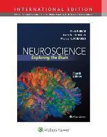 Neuroscience Exploring the Brain 9781451109542, Boeken, Verzenden, Zo goed als nieuw