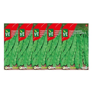 Bonen zaad | VT | 5 stuks (Staaksnijboon), Verzenden