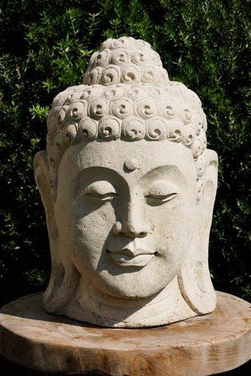 Testa di Buddha in Pietra - Beeld - Buddha - Indonesië