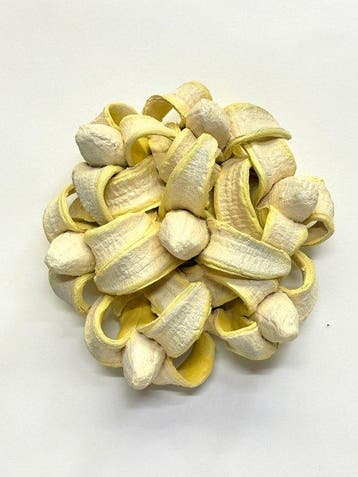 Koji Kasatani - Banana Flower