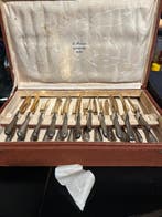 E.Fassina Pavia - Tafelservies voor 12 (25) - visservies -