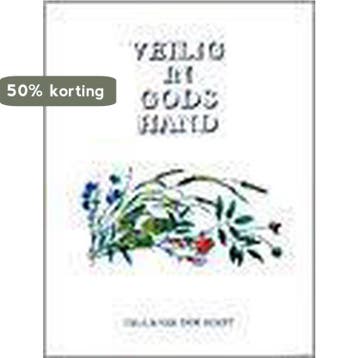 VEILIG IN GODS HAND - Truus van der Roest 9789033813214, Boeken, Verzenden, Zo goed als nieuw, Truus van der Roest