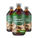 Gember vloeibare meststof - Set 3x1 liter, Verzenden, Mest