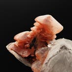 Glanzende calcietboom met rode hematiet en fantoom