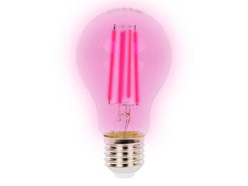 LED Kweeklamp Full Spectrum – 9 W – E27 – A60, Ophalen of Verzenden, Nieuw