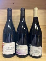 2022 Domaine Gaillard Saint-Joseph Clos de Cuminaille,, Nieuw
