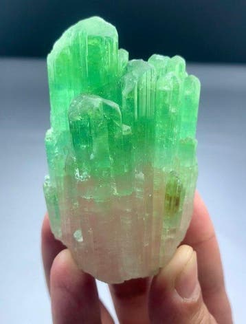 Bicolore tourmalijn Kristal - Hoogte: 72 mm - Breedte: 44