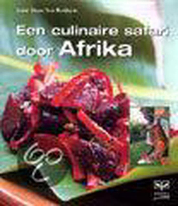 Een culinaire safari door Afrika 9789062559657 J. Stow, Boeken, Kookboeken, Gelezen, Verzenden