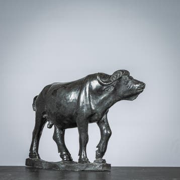 Beeld van een Buffel, Ophalen of Verzenden