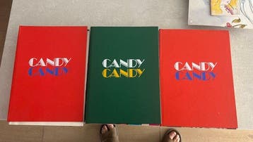 Le avventure di Candy Candy dal 1. al 15 raccolta - 10, Nieuw