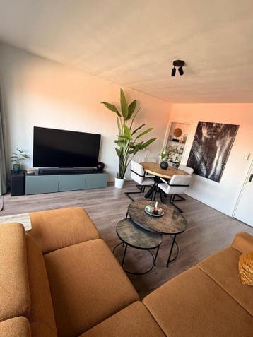Te huur: Kamer Jacob van Heemskerckstraat in Den Bosch