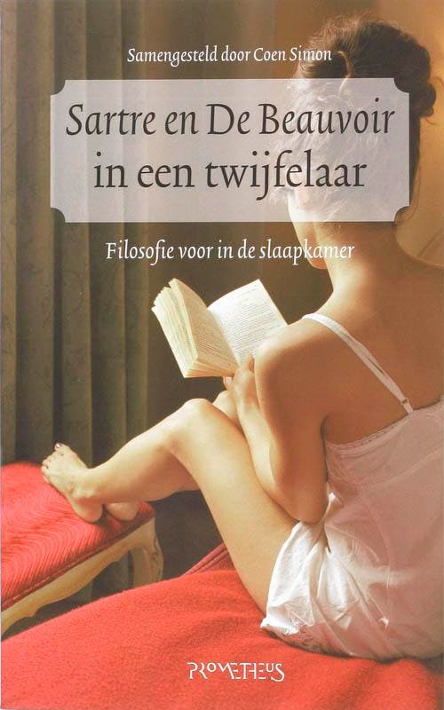 Sartre en De Beauvoir in een twijfelaar 9789044611472, Boeken, Literatuur, Zo goed als nieuw, Verzenden