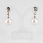 Oorbellen - 18 karaat Witgoud Diamant (Natuurlijk) - Parel, Nieuw
