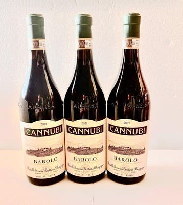 2021 Fratelli Serio & Battista Borgogno, Cannubi - Barolo, Nieuw