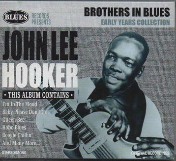 cd - John Lee Hooker - Brothers In Blues, Verzenden, Zo goed als nieuw