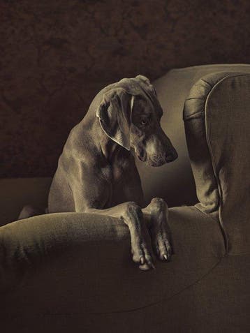 Ursula van de Bunte - His Chair