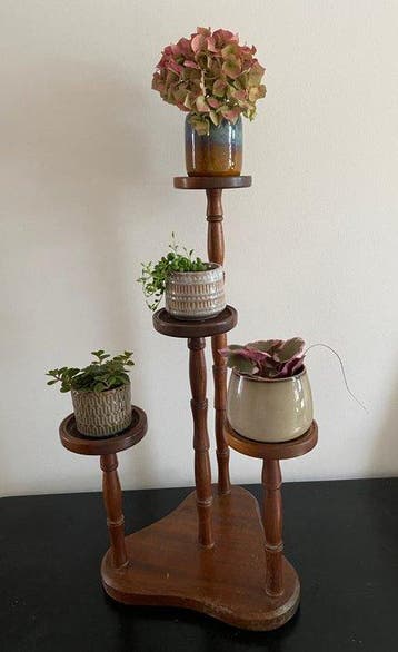 Étagère - Hout - Planten, Antiek en Kunst