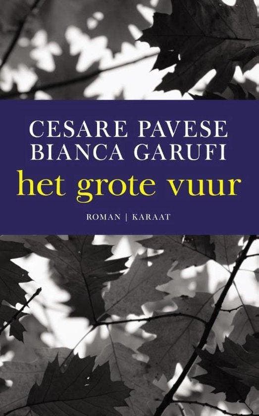 Het grote vuur - Pavese, Boeken, Romans, Gelezen, Verzenden