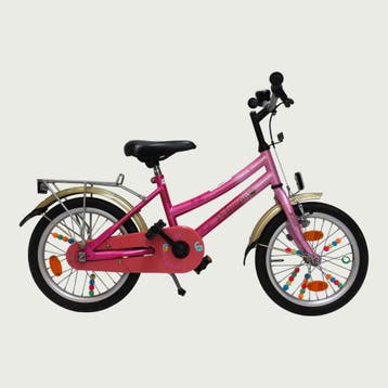 BikeFlip kinderfiets 16 inch, Ophalen of Verzenden, Gebruikt, BikeFlip