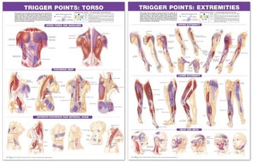 Trigger Point Chart Set: Torso & Extremities Lam, Boeken, Verzenden, Nieuw