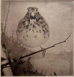 Jan Mankes (1889-1920) - Lijster op Tak, Antiek en Kunst