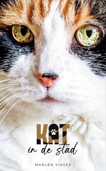 Kat in de Stad - Marlen Visser 9789083175522, Verzenden, Zo goed als nieuw, Marlen Visser