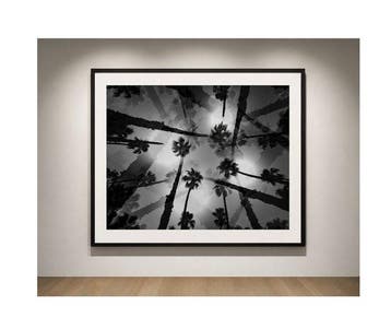 Ben Dauchez - An after noon at Majorelle B&W #2