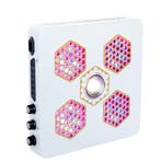 Beehive B4 LED kweeklamp, Ophalen of Verzenden, Nieuw